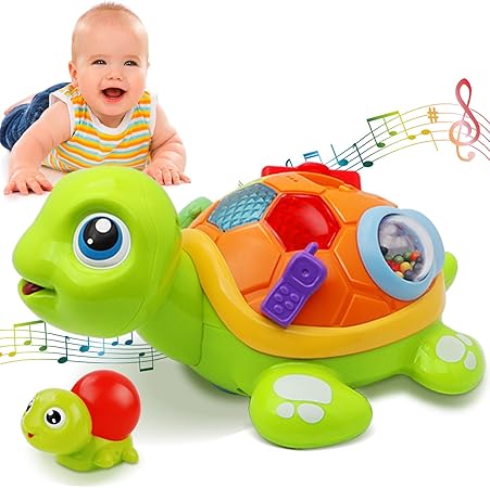 Parent Child Turtle