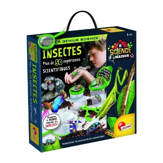 Insectes