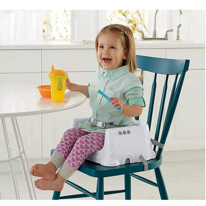 Fisher Price Healthy Care Deluxe Booster Seat