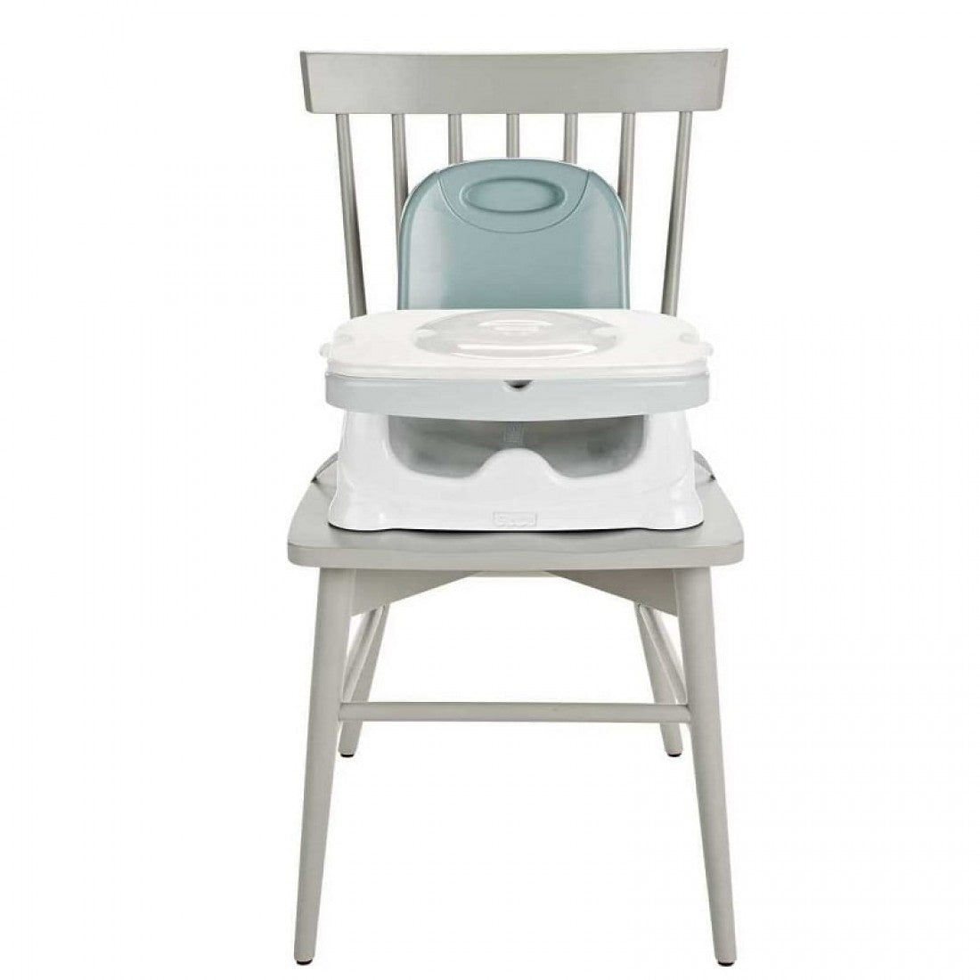 Fisher Price Healthy Care Deluxe Booster Seat