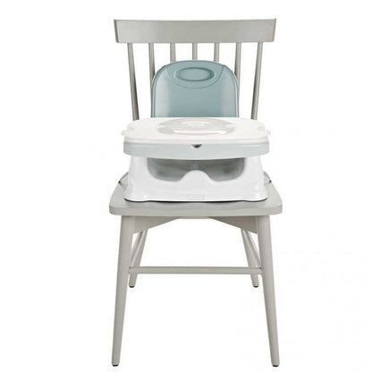 Fisher Price Healthy Care Deluxe Booster Seat