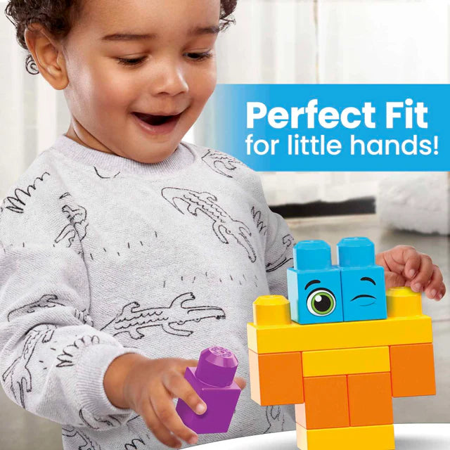 Bigger Building Mega Bloks