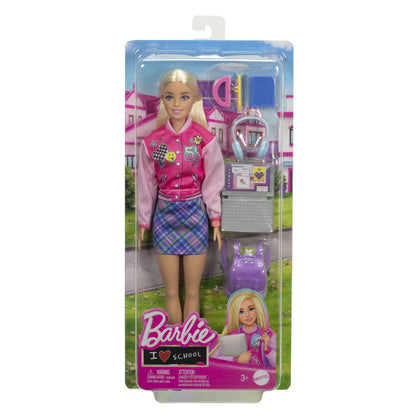 Barbie Doll and Accessories School