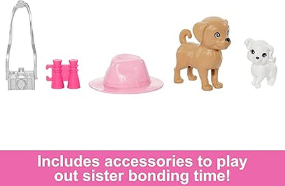 Barbie &amp; Stacie Doll Set