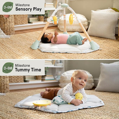 Ingenuity 6 in 1 Activity Center Chic Boutique