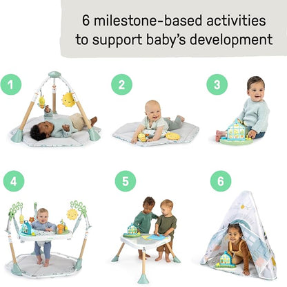 Ingenuity 6 in 1 Activity Center Chic Boutique