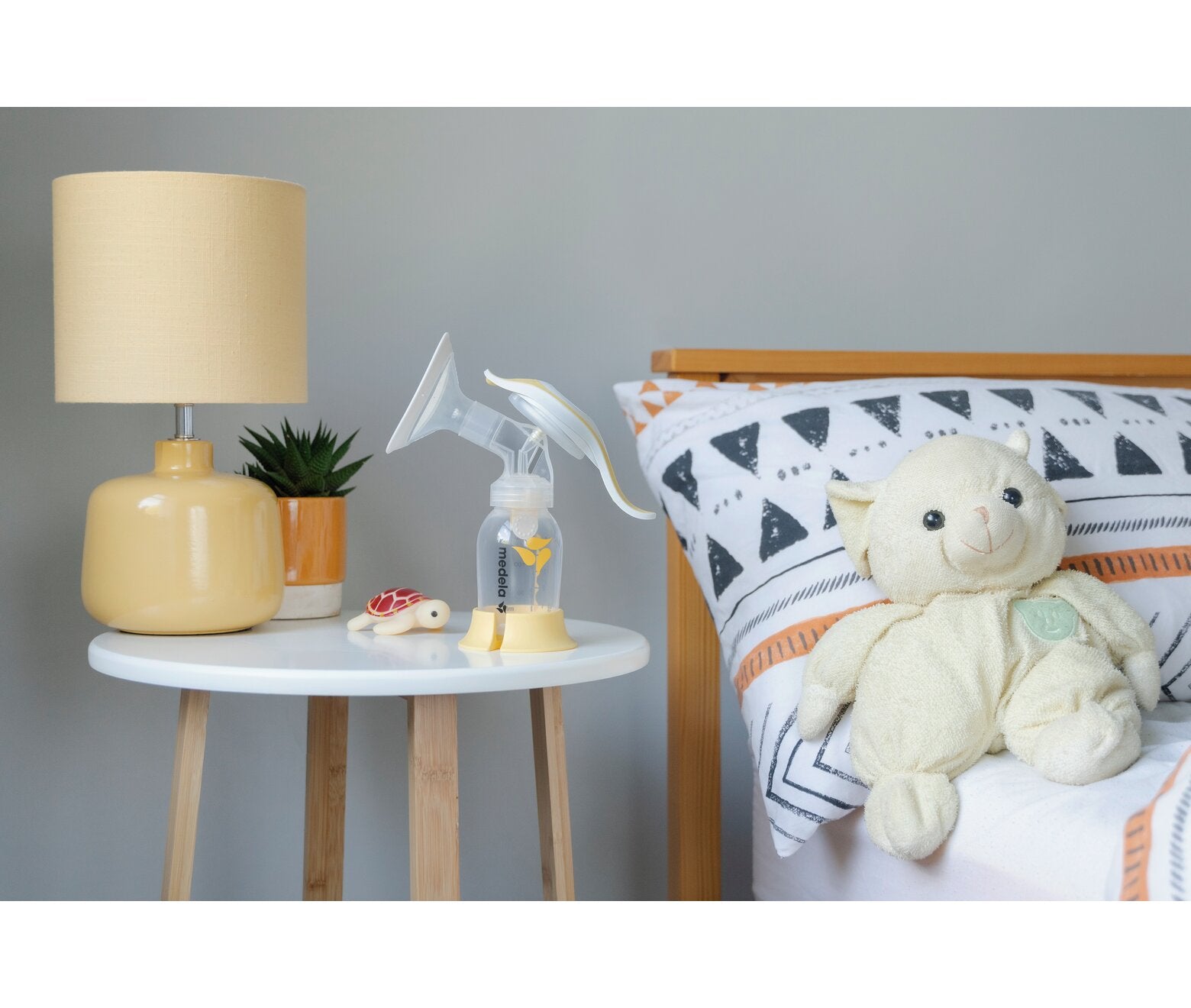 Harmony Manual Breast Pump