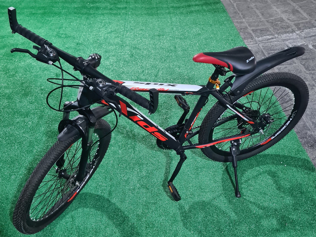 24&quot; XIDS Bike