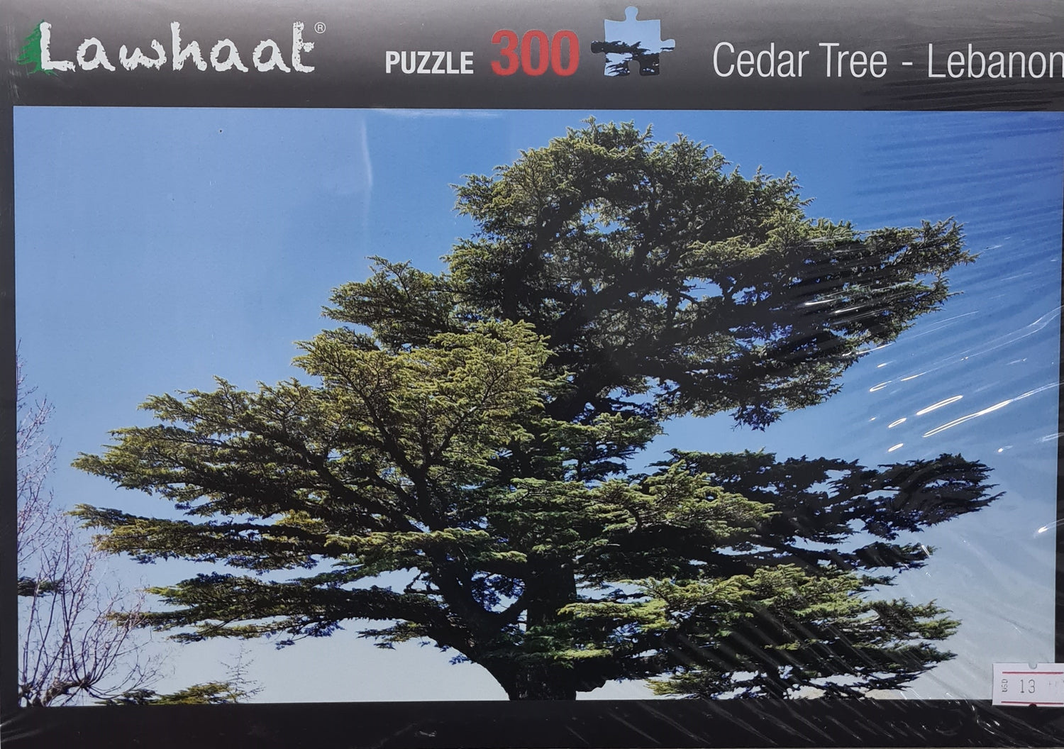 Lawhaat- Cedar Tree-Lebanon