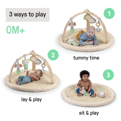 Ingenuity Every Season Plush Lambswool Baby Play Gym