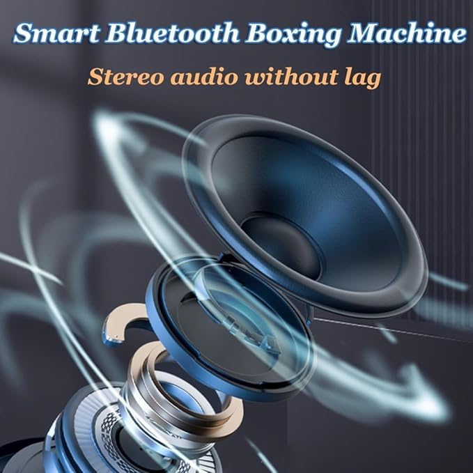 Musical Boxing Target, Wall Mounted Bluetooth Boxing Target