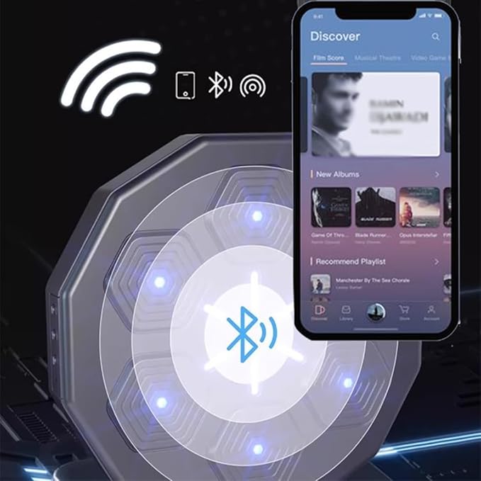 Musical Boxing Target, Wall Mounted Bluetooth Boxing Target