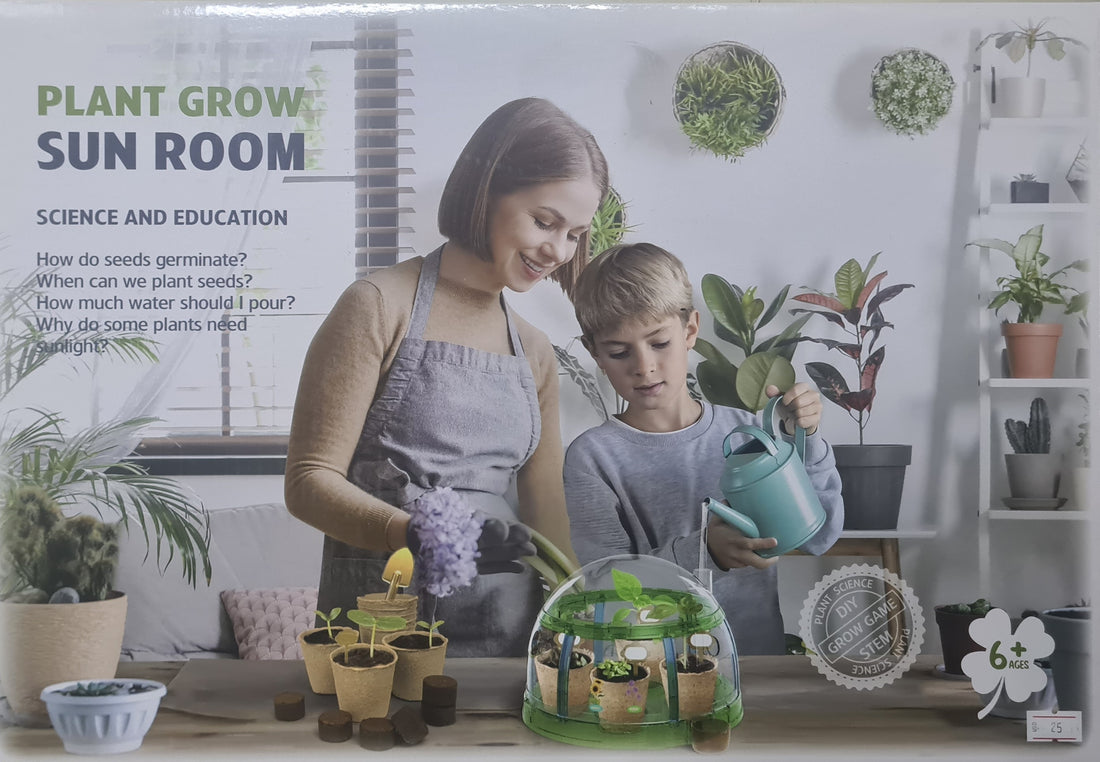 Interactive Plant Grow, Sun Room