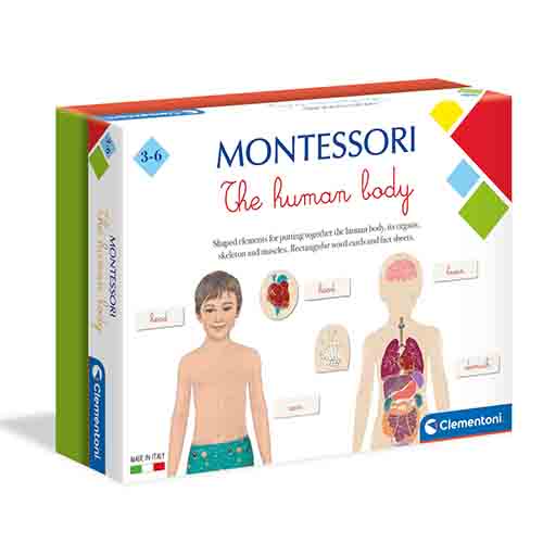 Clementoni montessori human body - french