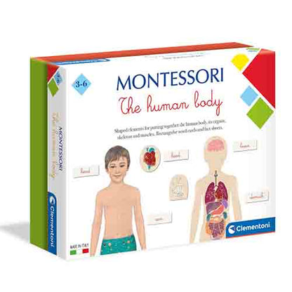 Clementoni montessori human body - french