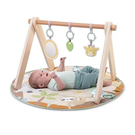 Ingenuity Wonder &amp; Wood